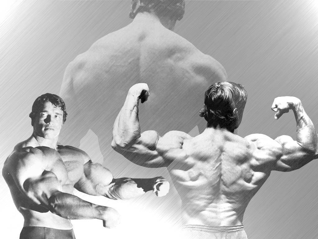 1024x768 Free download Arnold Schwarzenegger Conquer Wallpaper HD elrinconcitodemaya [1024x768] for your Desktop, Mobile & Tablet. Explore Arnold Schwarzenegger Conquer Wallpaper. Arnold Schwarzenegger Wallpaper Bodybuilding, Arnold Motivational