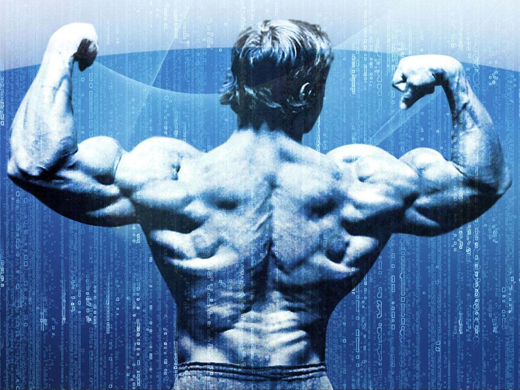 1024x768 arnold conquer wallpaper, bodybuilding, bodybuilder, muscle, physical fitness, arm