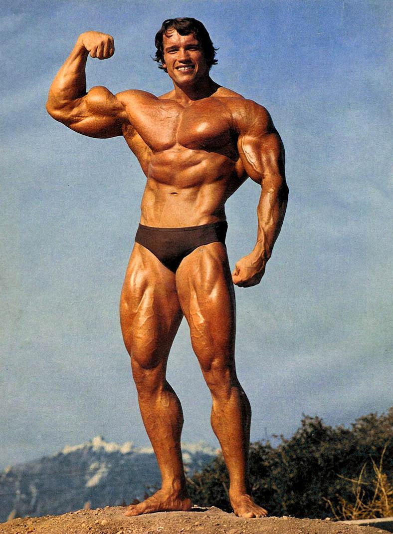788x1070 Arnold Wallpaper