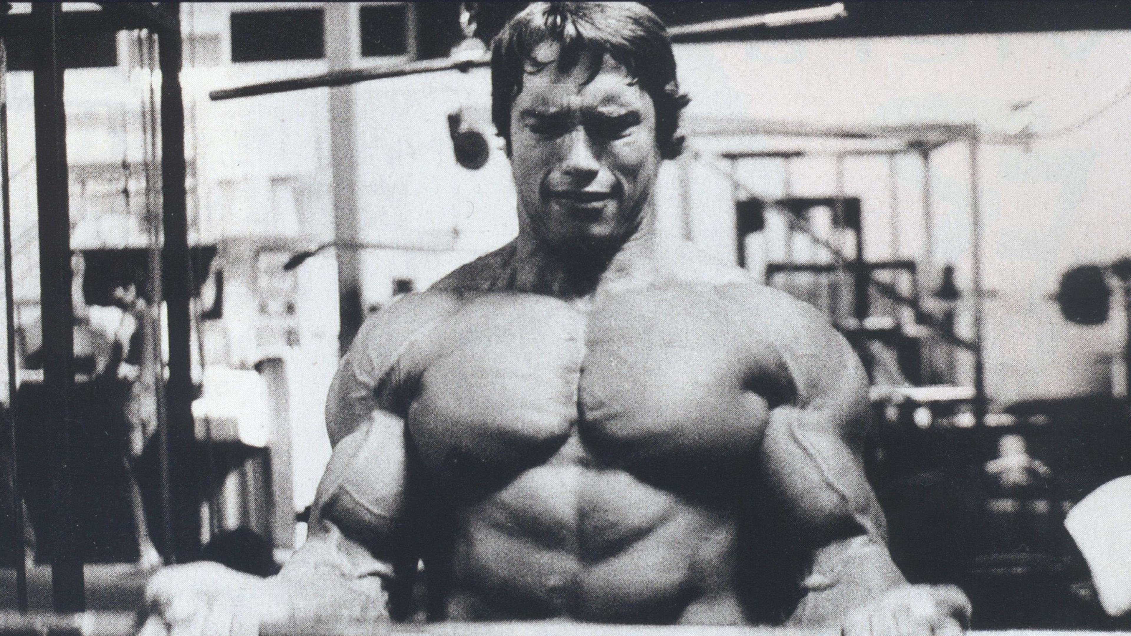 3840x2160 Arnold Schwarzenegger Wallpaper
