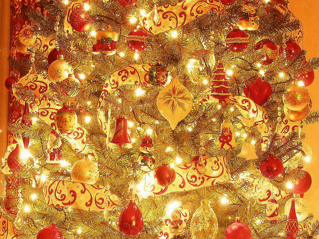 1024x768 yorkshire_rose image Have A Magical Christmas Berni ♥ HD wallpaper
