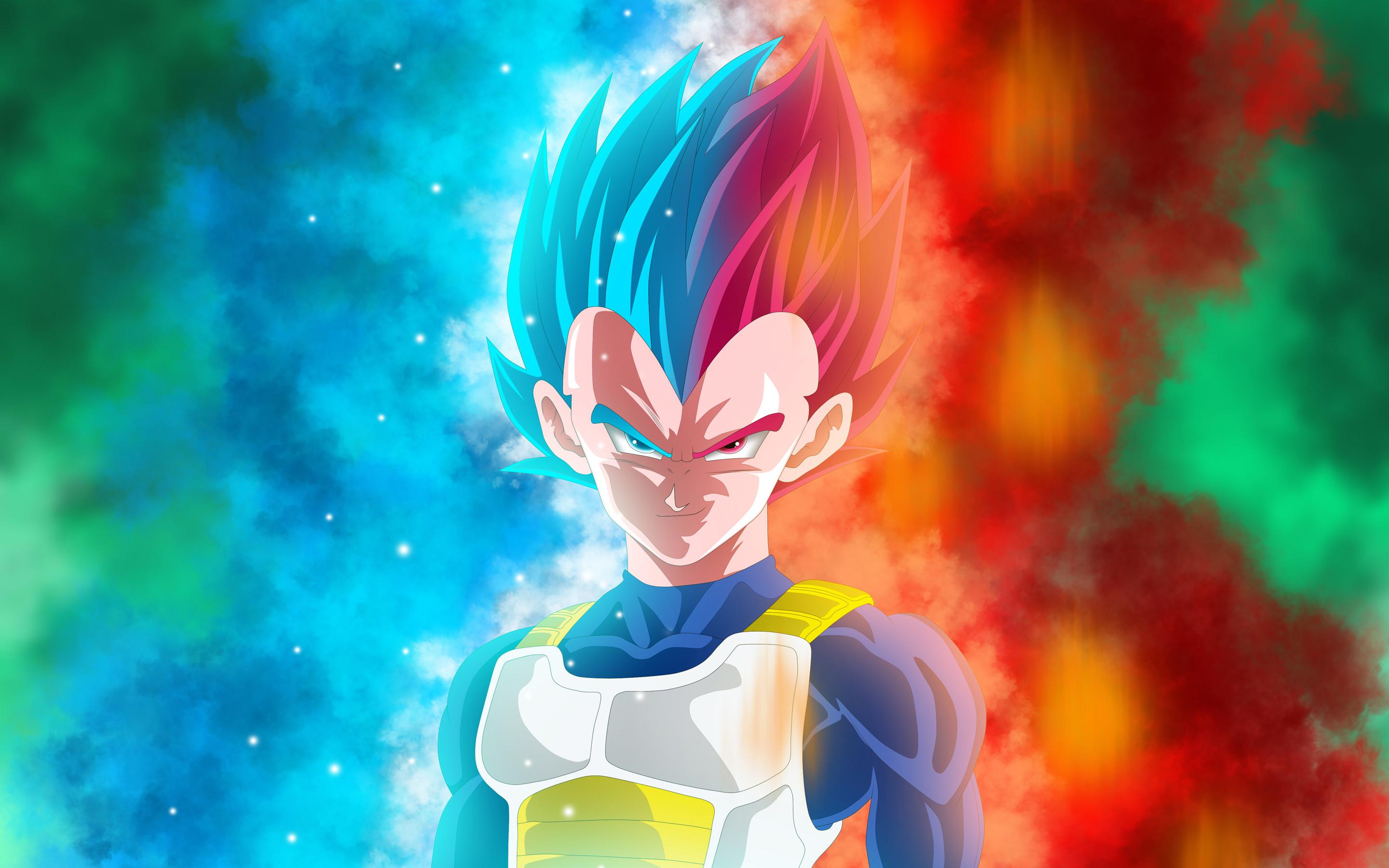 2880x1800 Vegeta Wallpaper