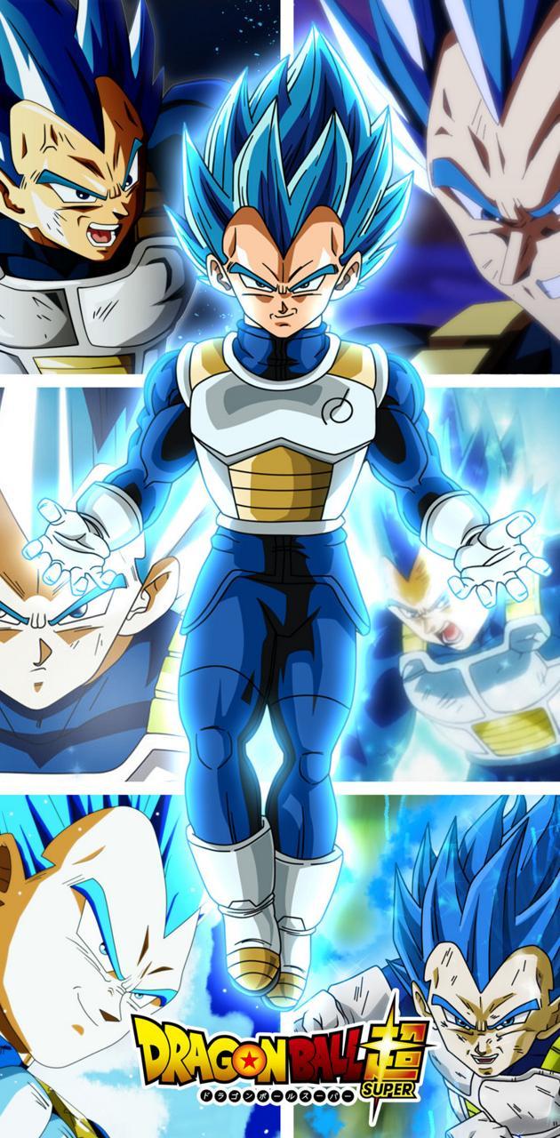 630x1280 Vegeta ssj blue wallpaper