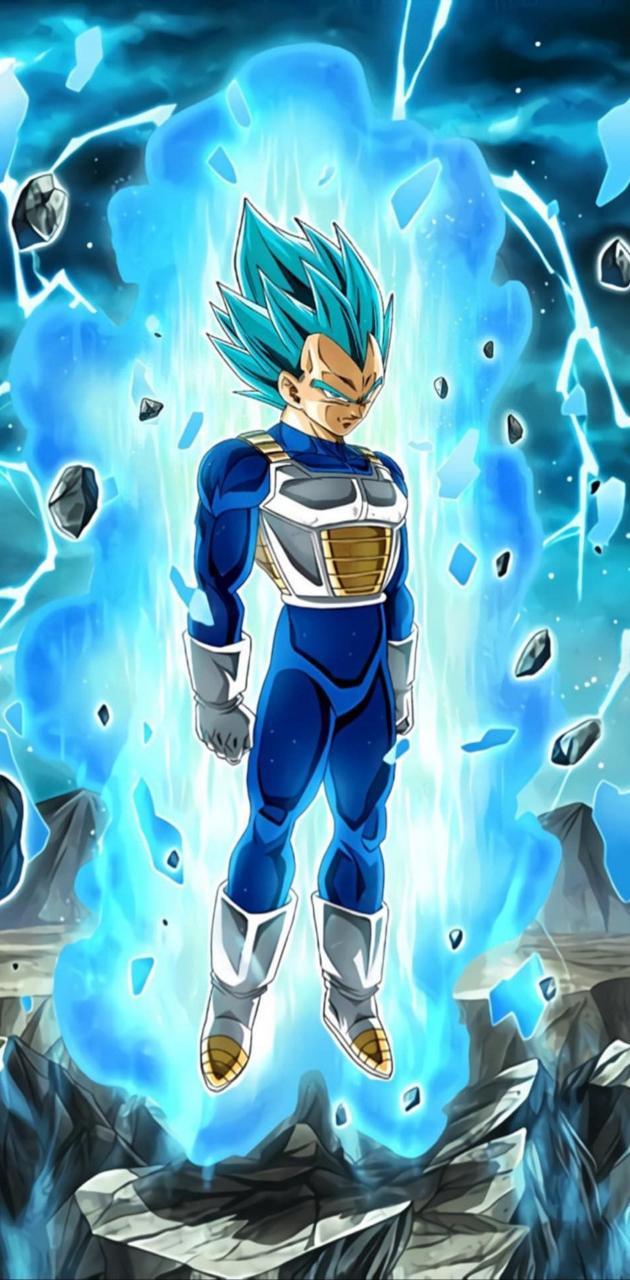 630x1280 Vegeta ssj Blue wallpaper