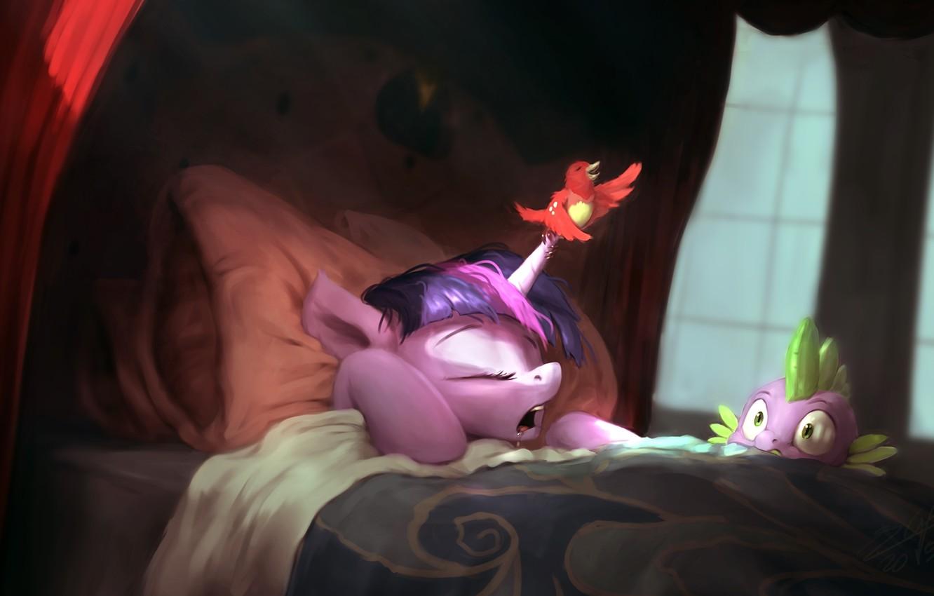 1332x850 Wallpaper dragon, figure, bed, sleep, fantasy, art, fantasy, bird, bird, art, dragon, sleep, bed, fanart, fanart, My Little Pony image for desktop, section фильмы