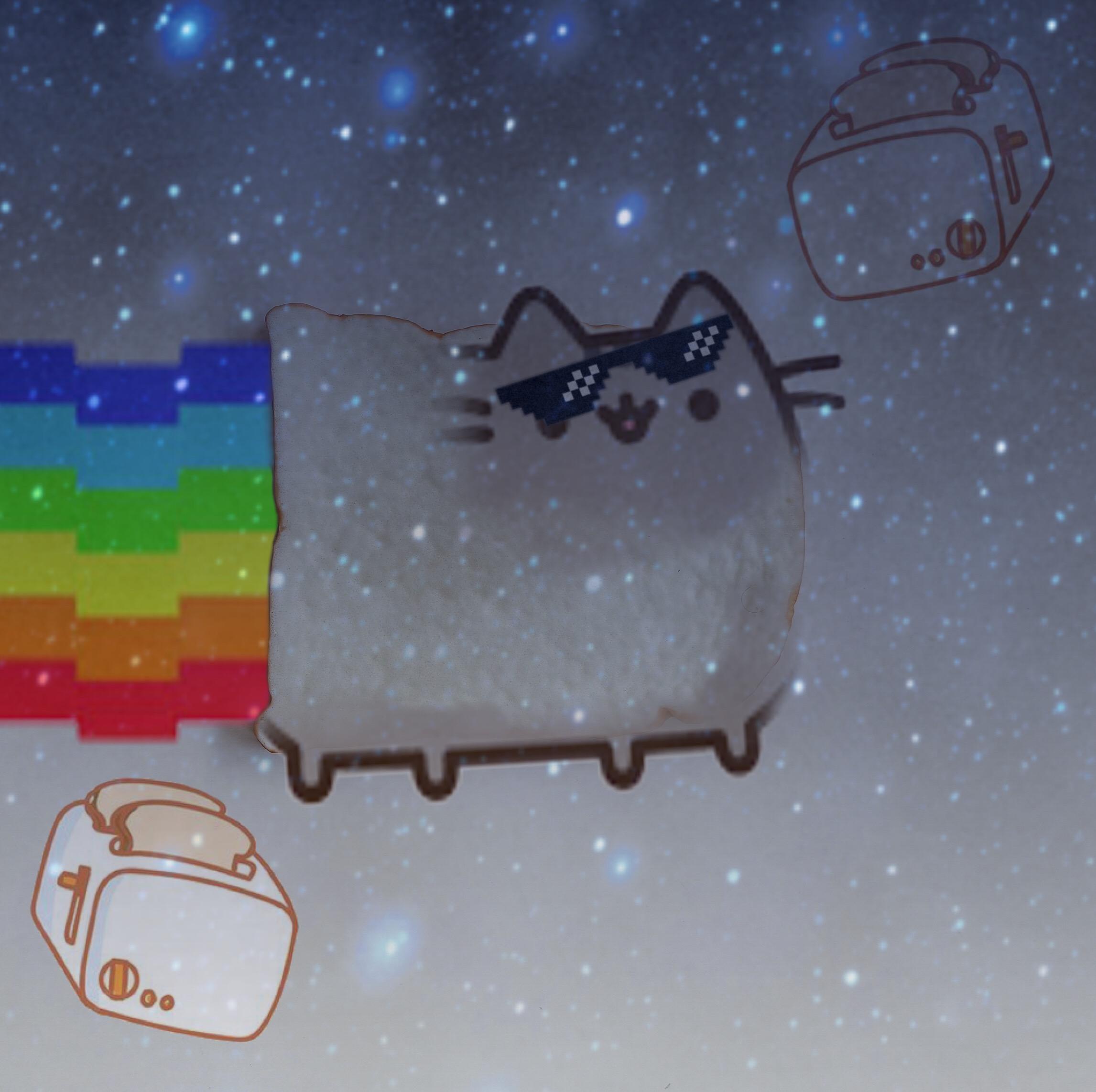2293x2285 nyancat pusheen cat nyan nyanpusheen image