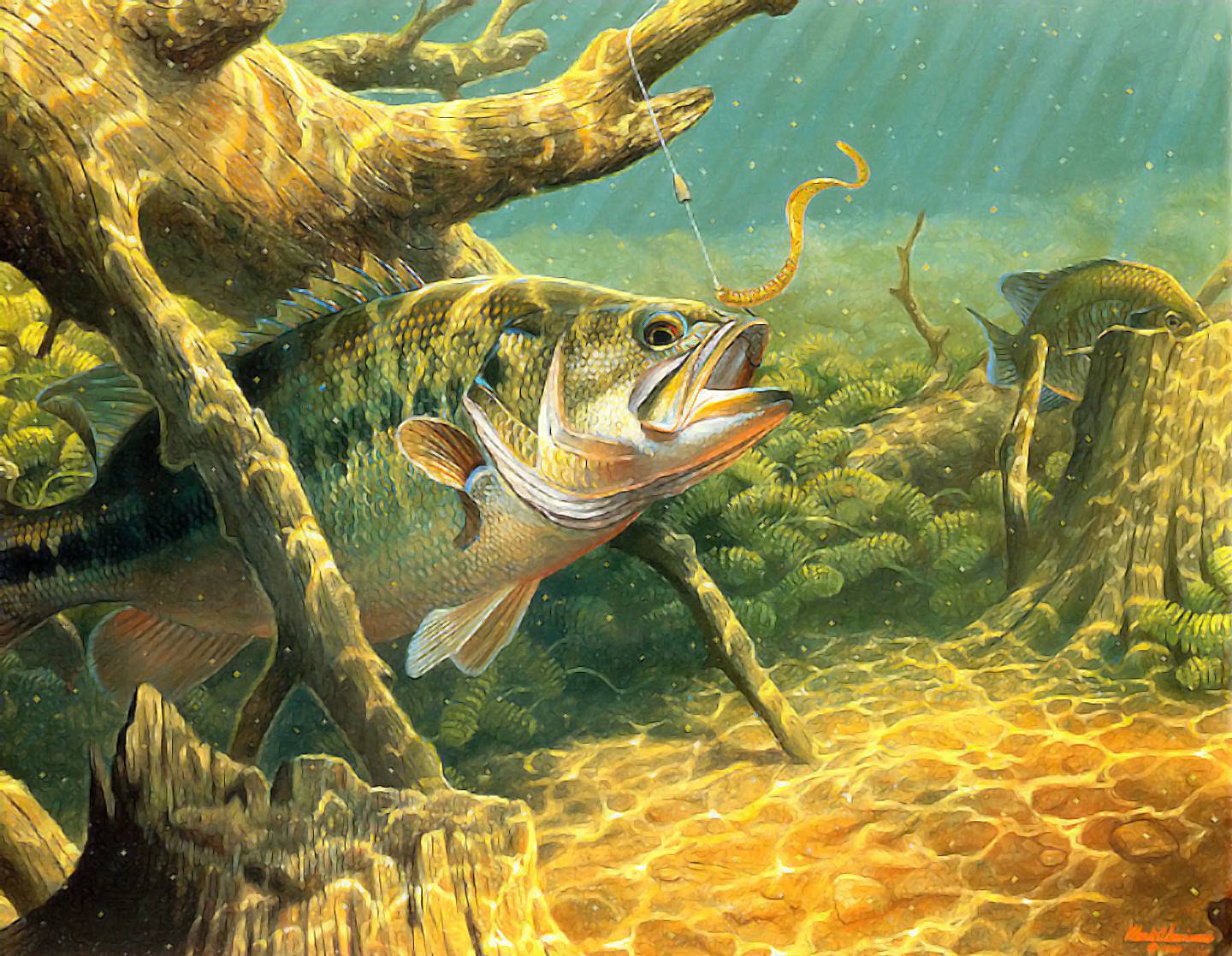 1440x1118 Fishing Wallpaper