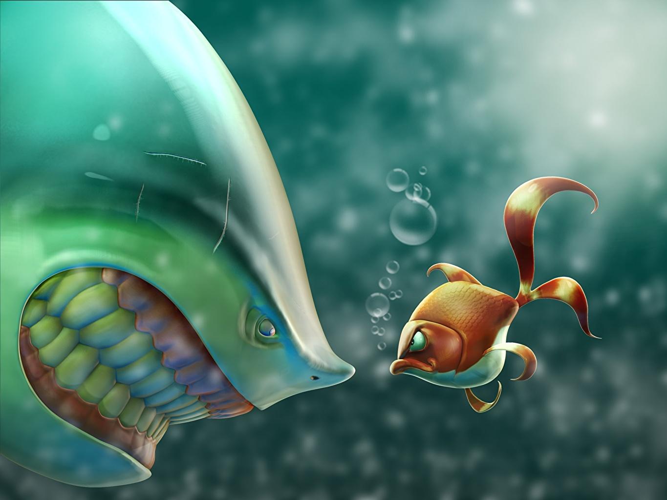 1365x1024 Picture Humor Fish Sharks Painting Art