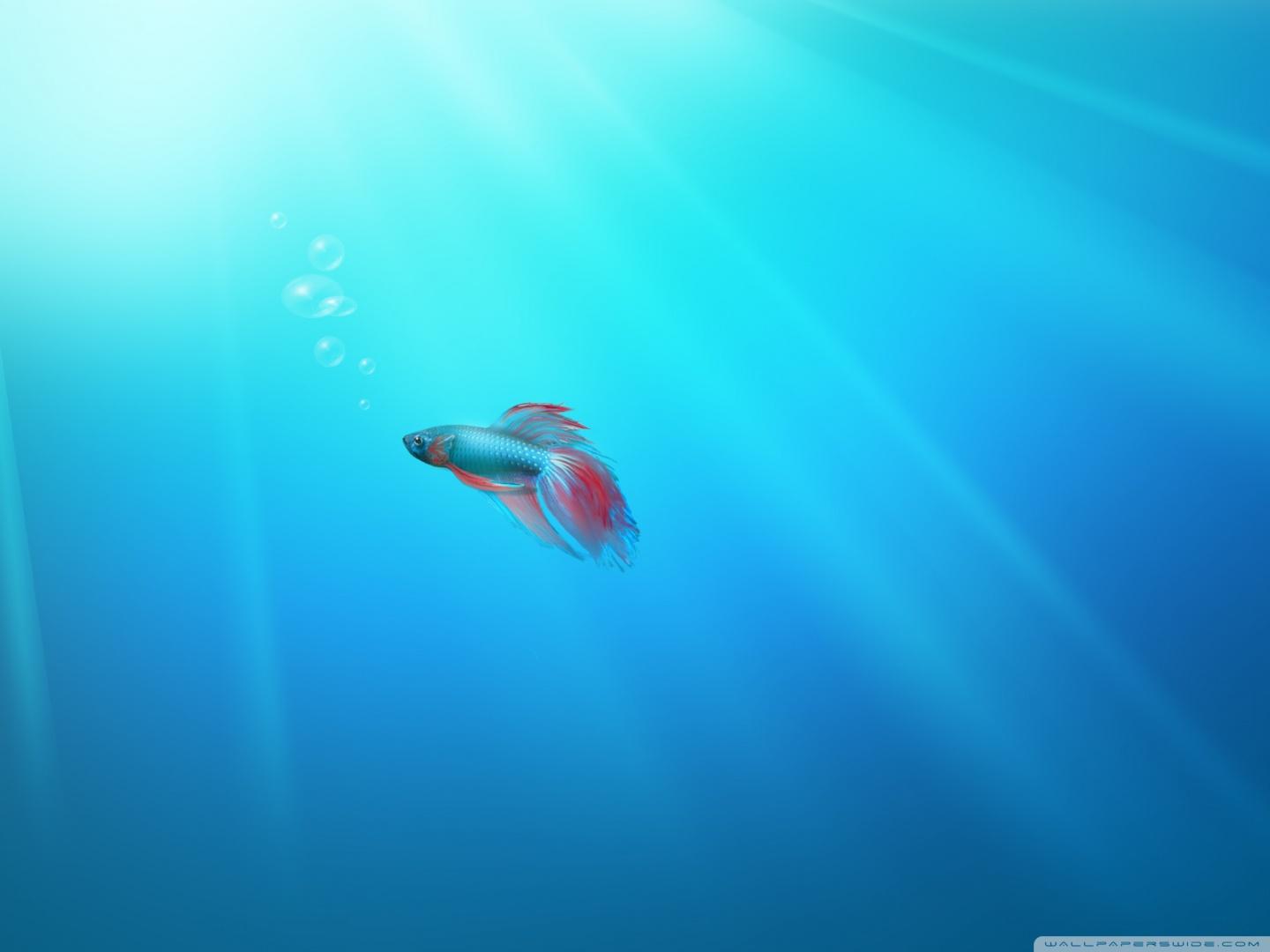 1440x1080 Windows Seven Fish Ultra HD Desktop Background Wallpaper for 4K UHD TV : Widescreen & UltraWide Desktop & Laptop