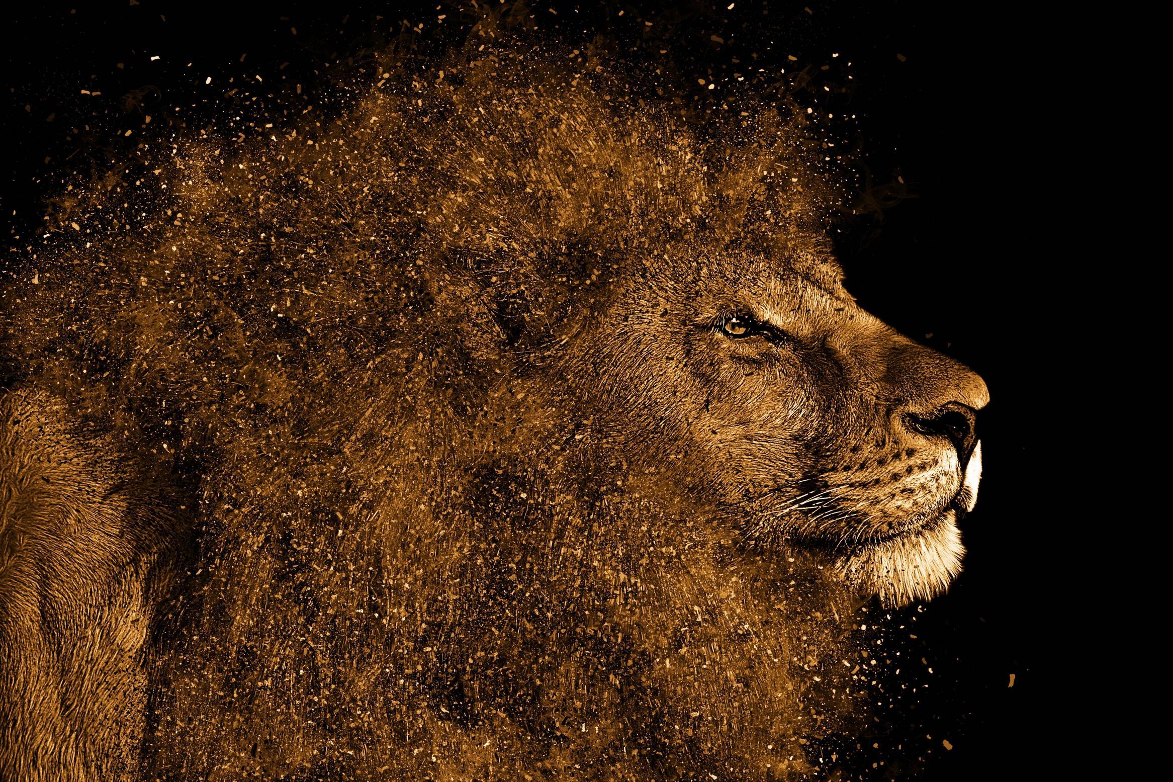2333x1555 Lion Art 4k, HD Animals, 4k Wallpaper, Image, Background, Photo and Picture