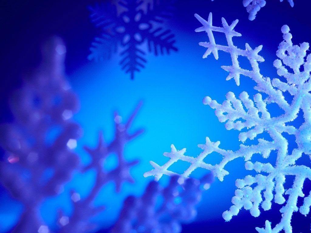 1024x768 Parody to twelve days of christmas on SeasonChristmas.com. Merry
