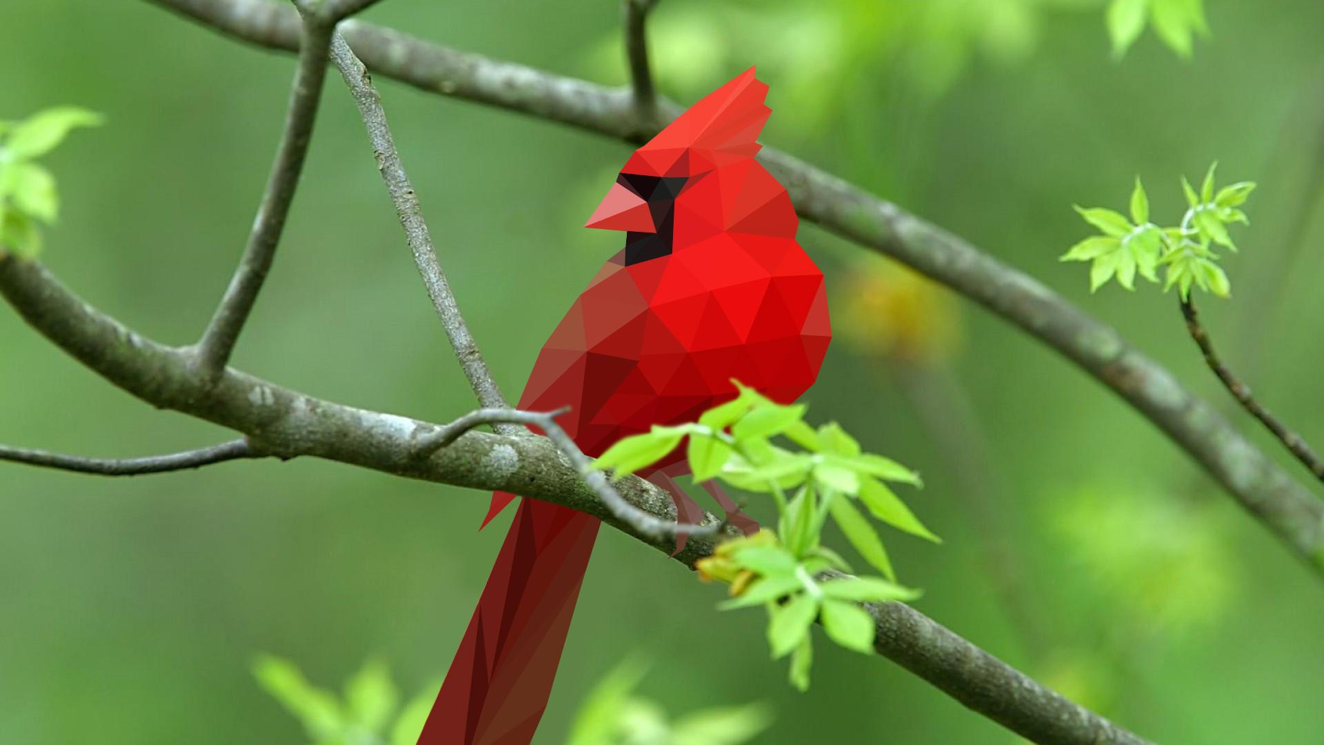 1920x1080 low polygon animals