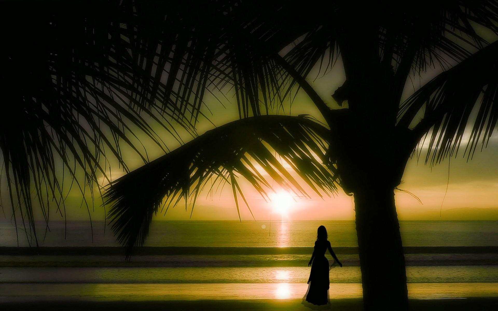1920x1200 Scarface Wallpaper Palm Trees