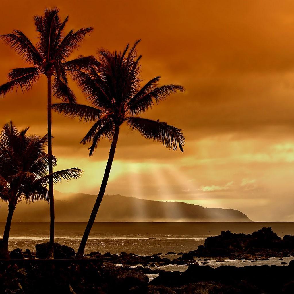 1024x1024 Free download Tropical sunset [1024x1024] for your Desktop, Mobile & Tablet. Explore Tropical Sunset Wallpaper Free. Free Tropical Wallpaper, Beach Sunset HD Wallpaper, Sunset Wallpaper for Desktop Widescreen