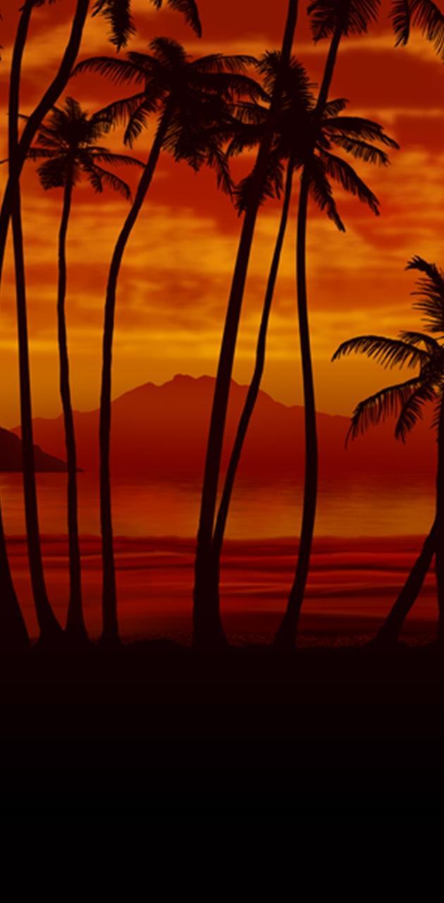 630x1280 Palm Mural wallpaper