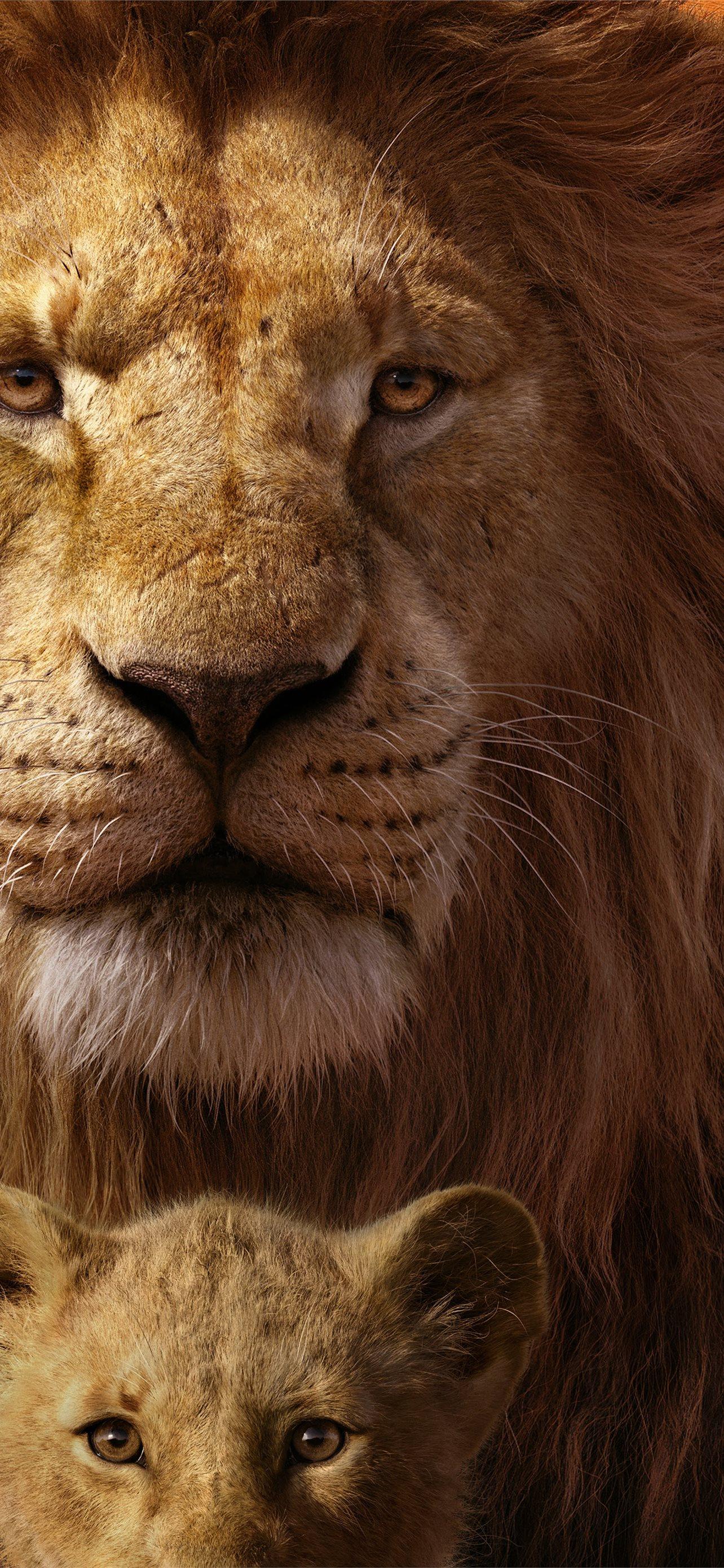 1284x2778 The Lion King 2019 Mufasa Simba 8k Lion King 2019. iPhone Wallpaper Free Download