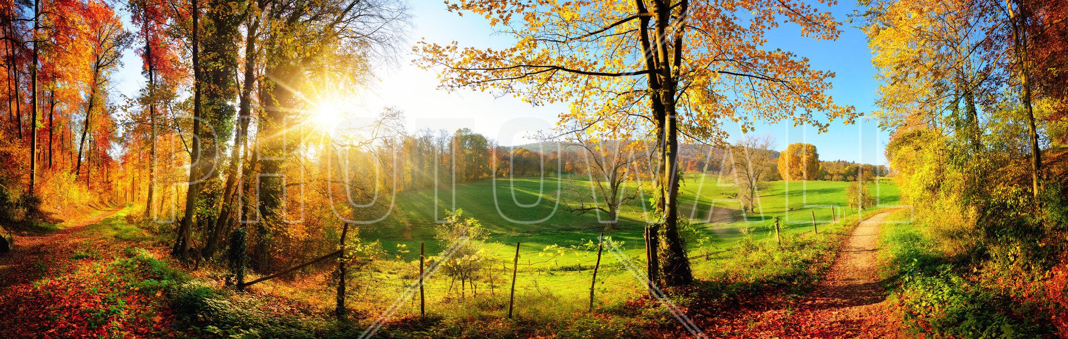 2202x699 Gorgeous Landscape