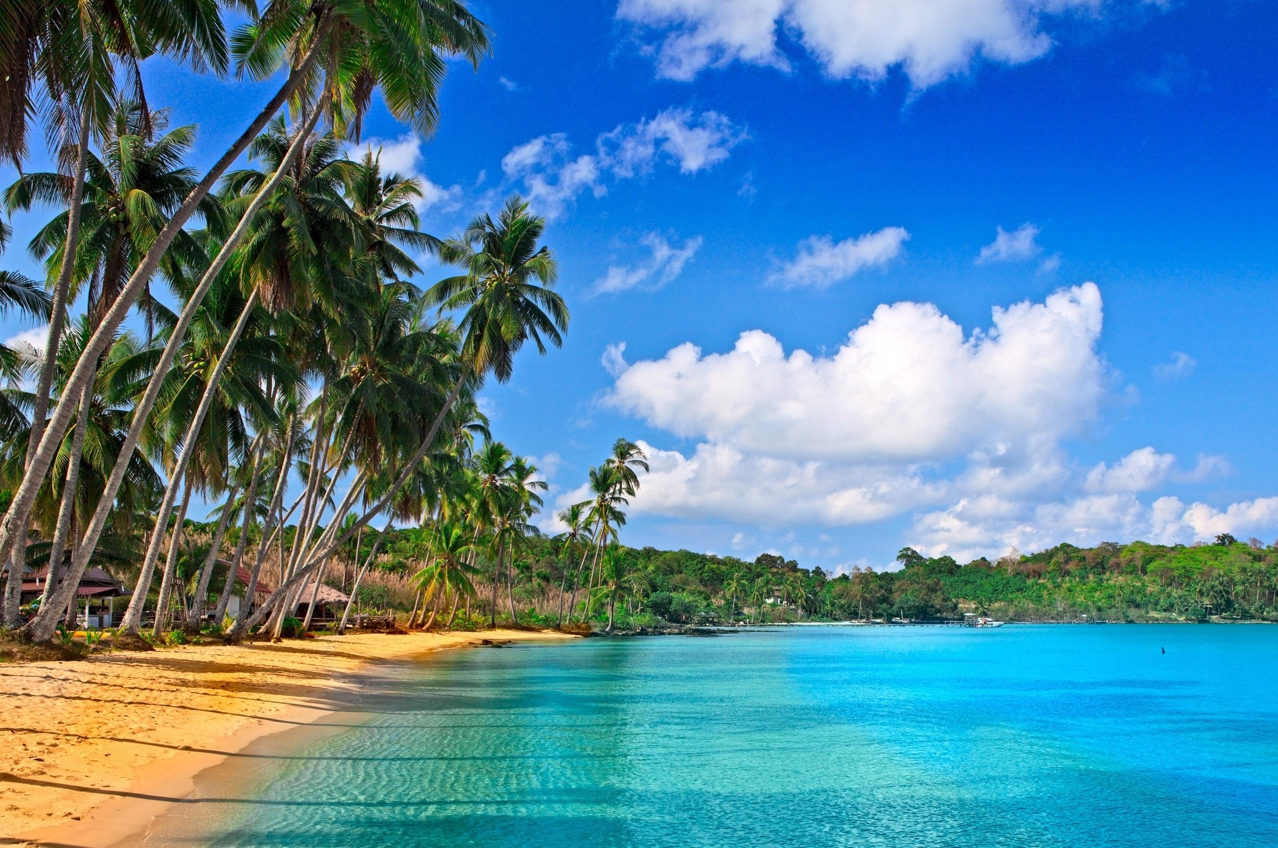 2612x1734 Download Landscape wallpaper for mobile phone, free Landscape HD picture