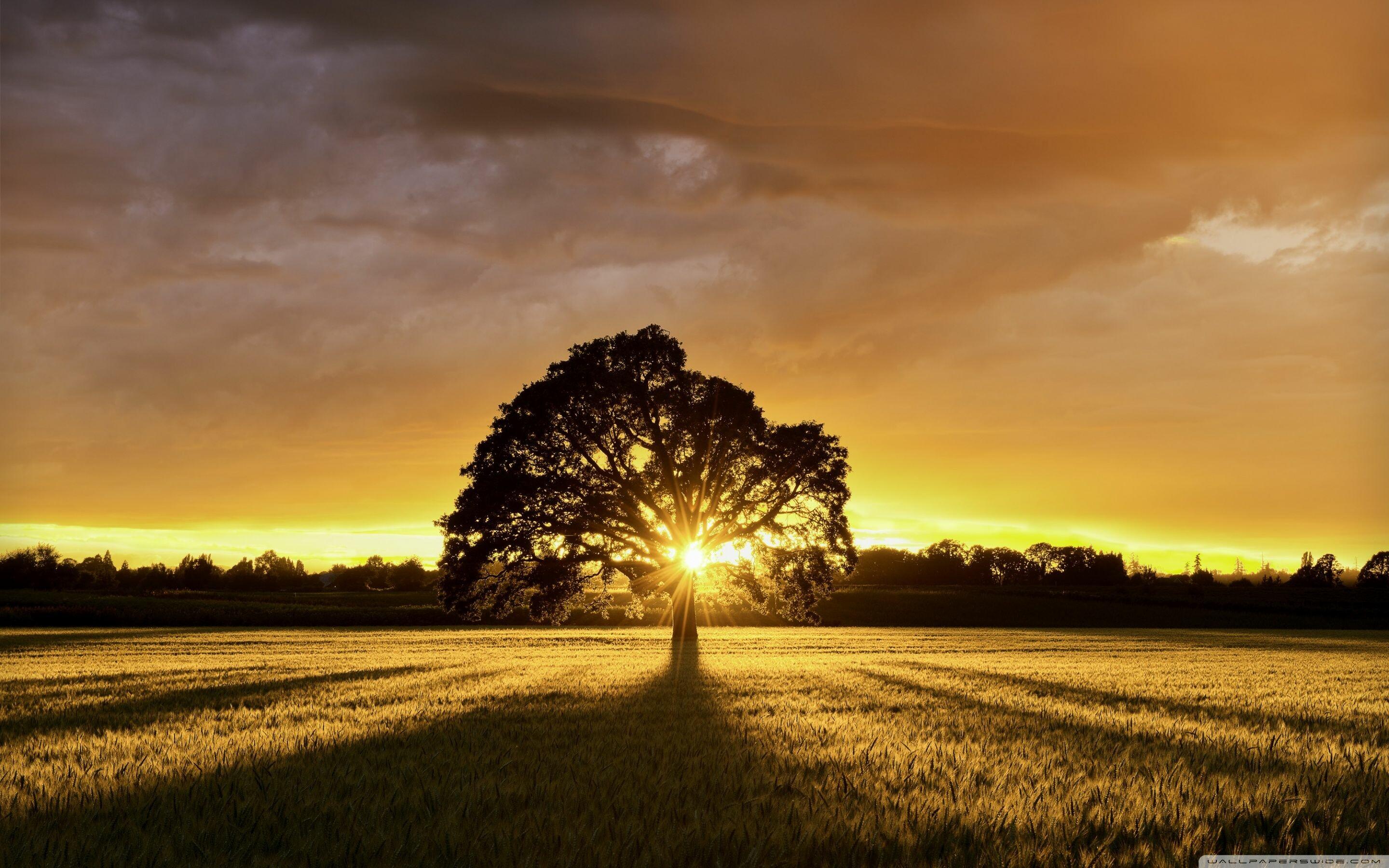 2880x1800 Landscape Wallpaper: HD, 4K, 5K for PC and Mobile. Download free image for iPhone, Android