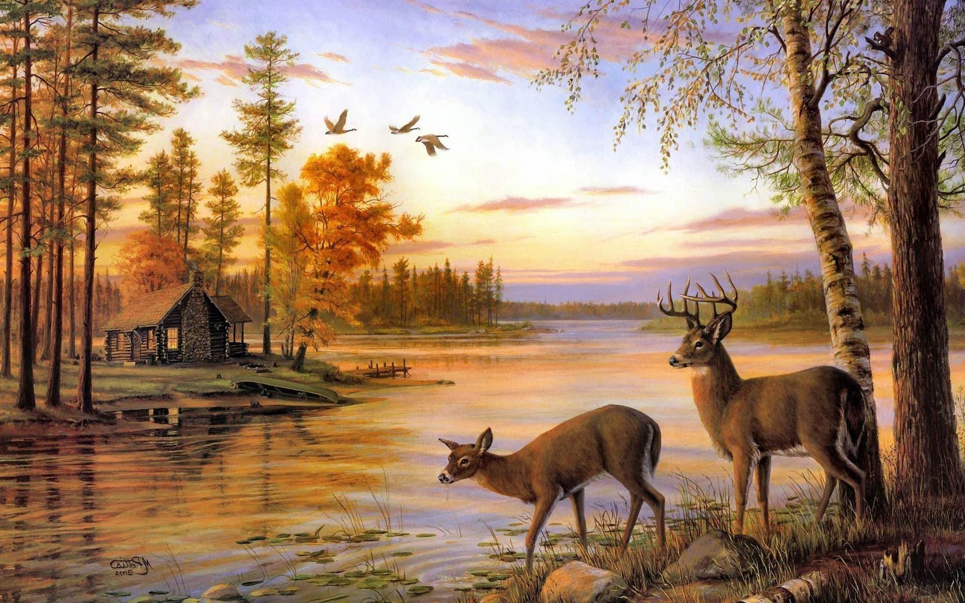 1920x1200 Deer wallpaper for desktop