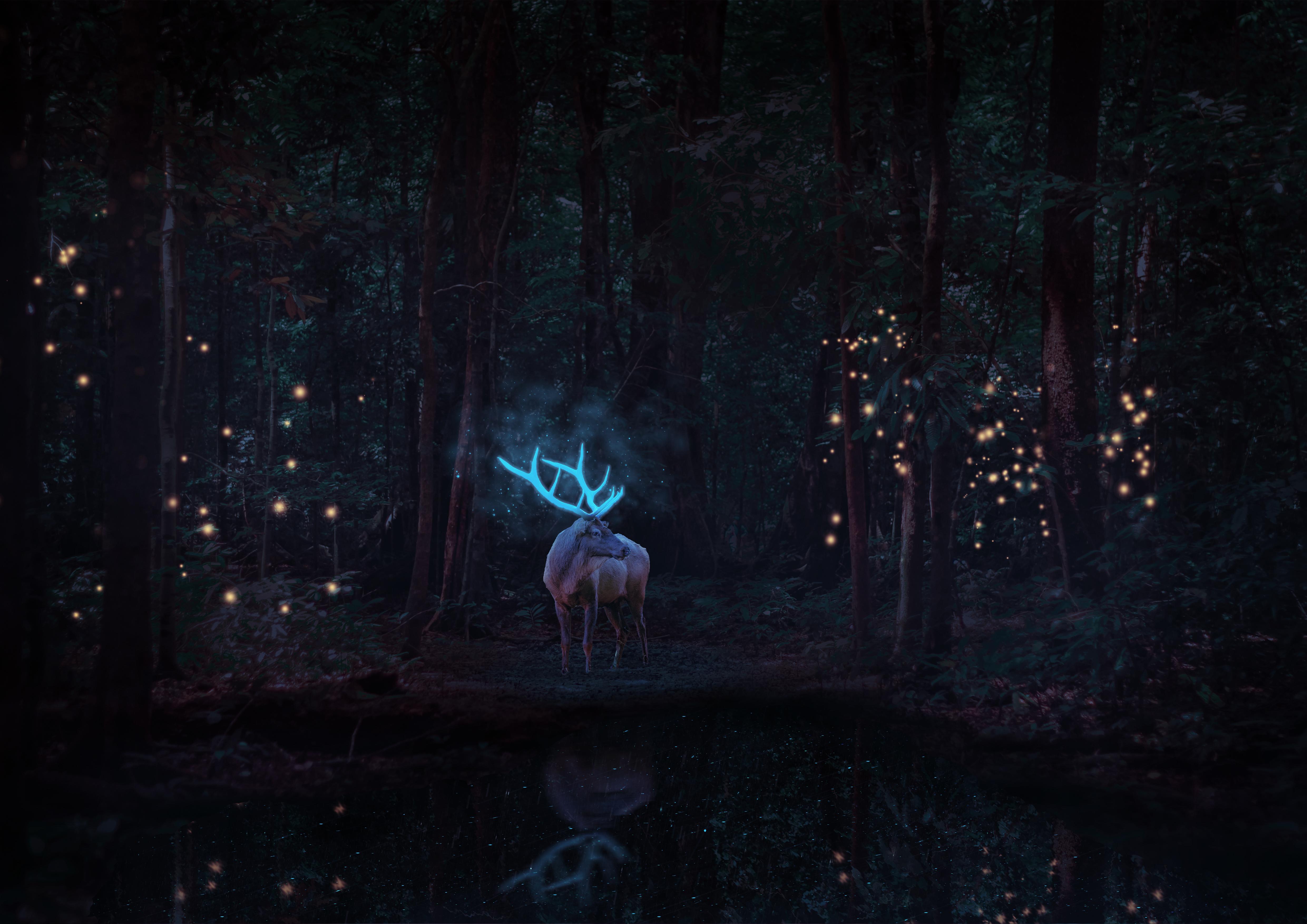 4961x3508 Stag Wallpaper 4K, Deer, Forest Trees, Surreal, Dark background, Animals
