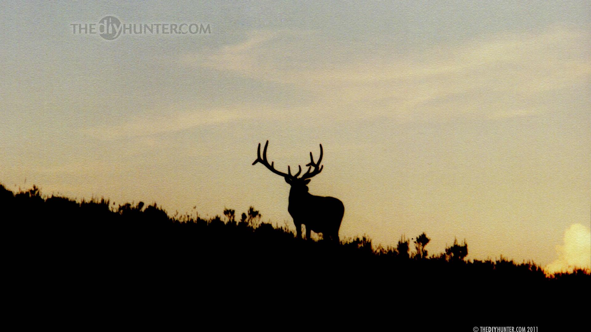 1920x1080 Computer Desktop Wallpaper Hunting Photo DIY Hunter