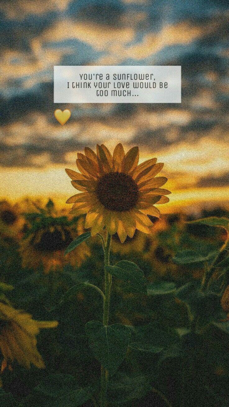 736x1308 Post Malone wallpaper. Post malone wallpaper, Sunflower wallpaper, Fire image