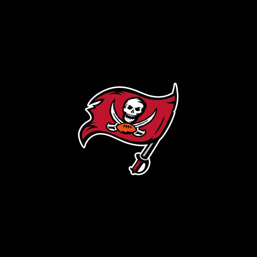 Wallpaper wallpaper, sport, logo, NFL, glitter, checkered, Tampa Bay  Buccaneers images for desktop, section спорт - download