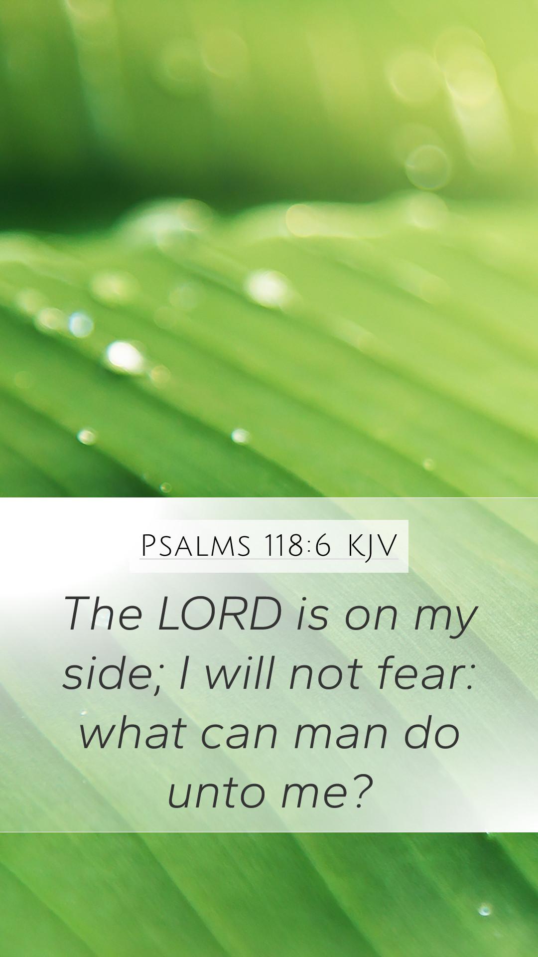 1080x1920 Psalms 118:6 KJV Mobile Phone Wallpaper LORD is on my side; I will not fear: what can
