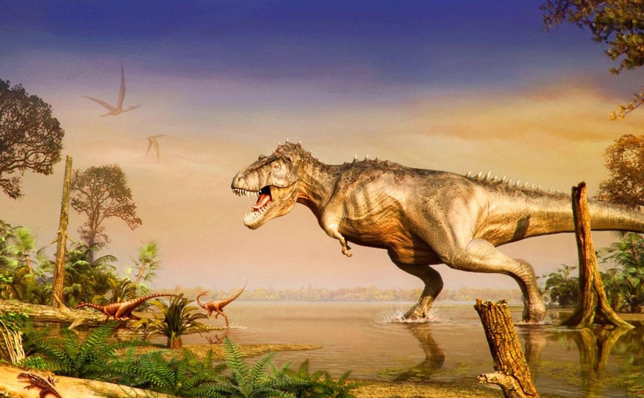 1270x786 Dinosaur Wallpaper HD