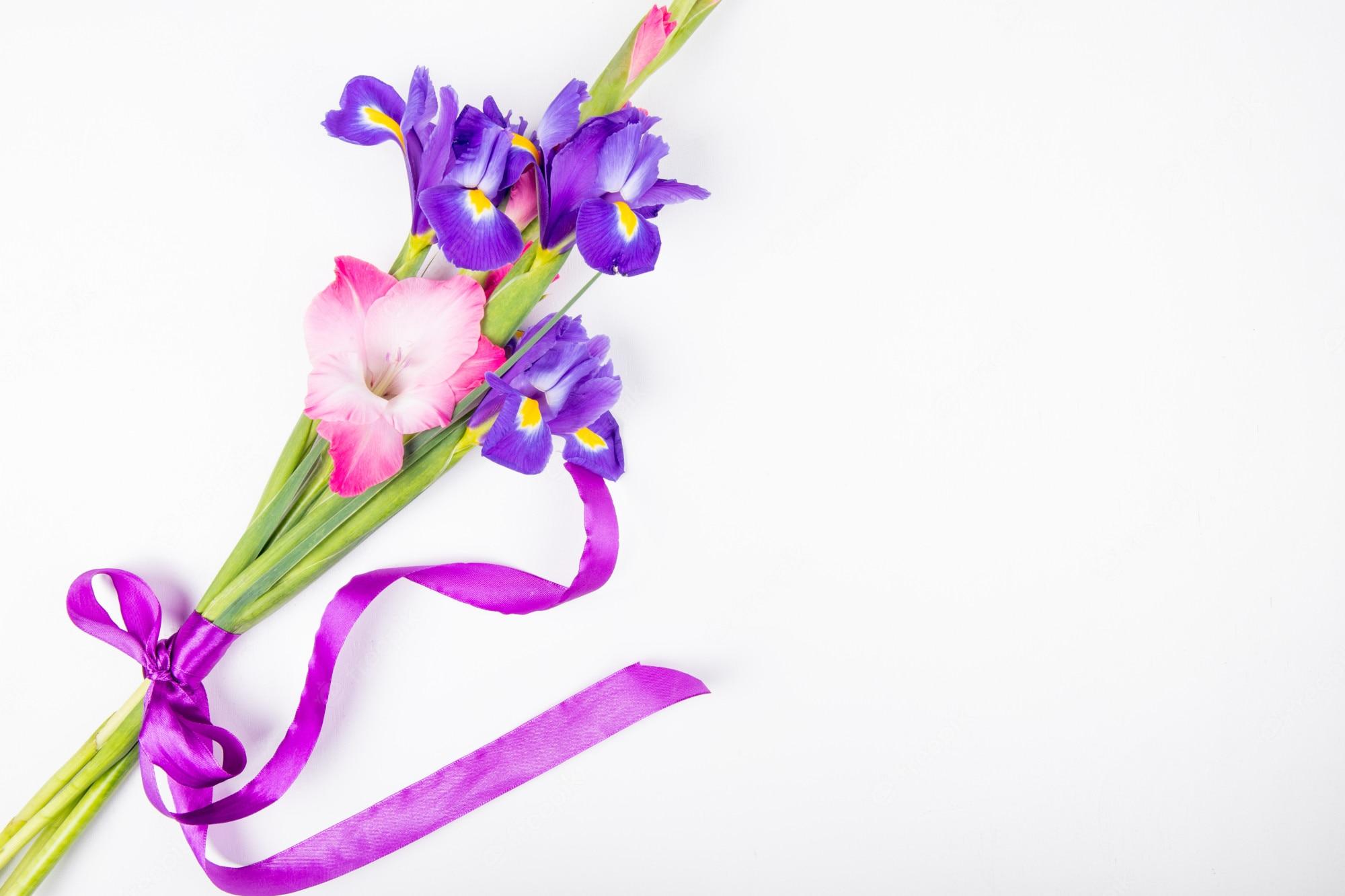 2000x1333 Purple Gladiolus Image. Free Vectors, & PSD