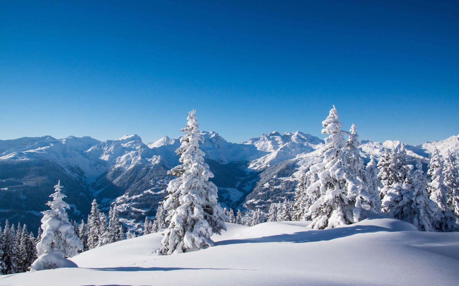 1920x1200 Wallpaper Winter mountains, Snow, 4K, Nature
