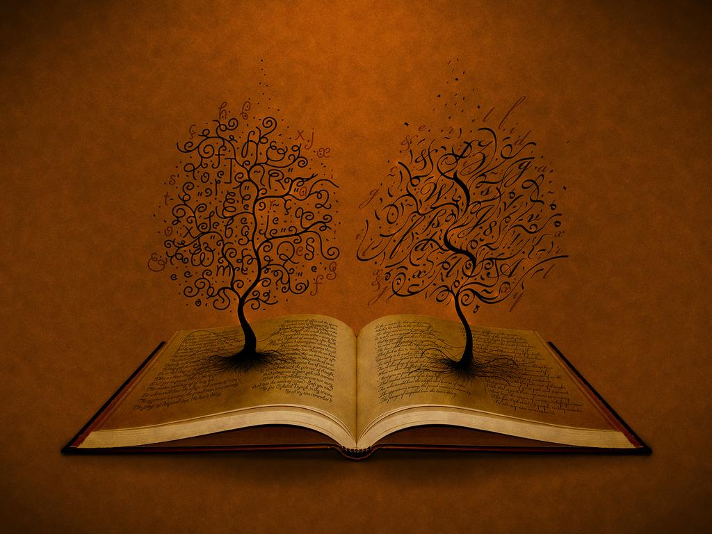 1024x768 Books Background