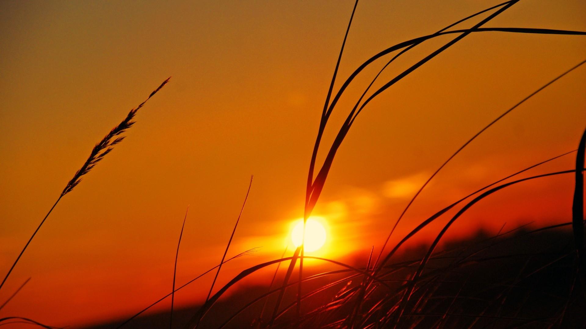1920x1080 Sunset Wallpaper HD