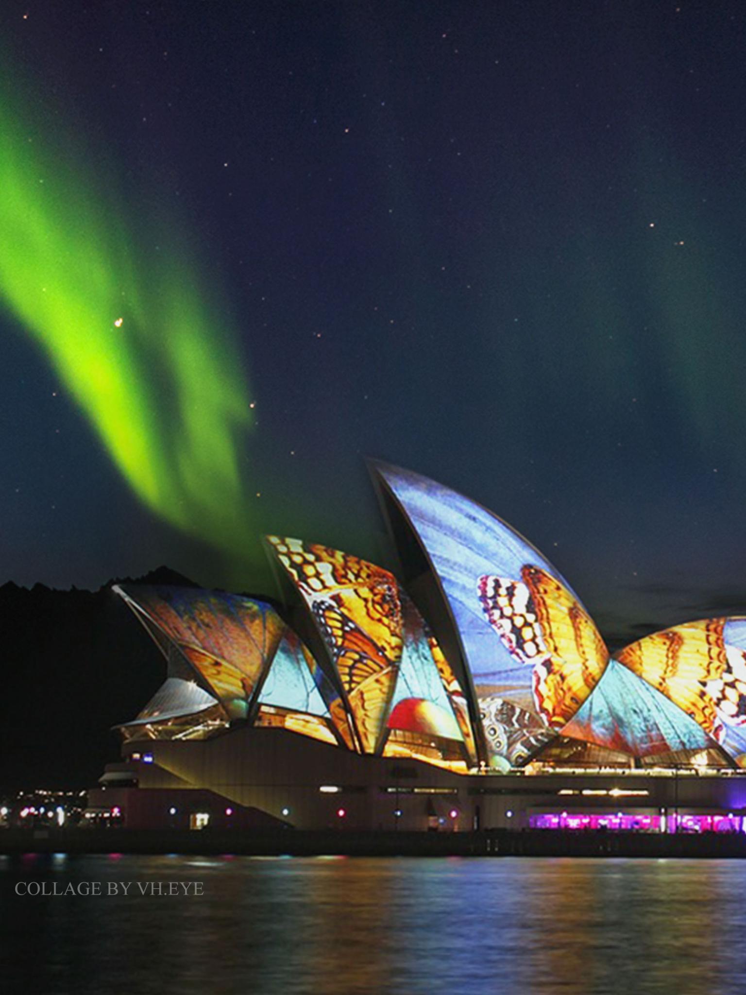 1536x2048 Free download Australia Sydney Opera House Butterflies Monarch Wallpaper iPhone [2160x3840] for your Desktop, Mobile & Tablet. Explore VH Wallpaper. VH Wallpaper