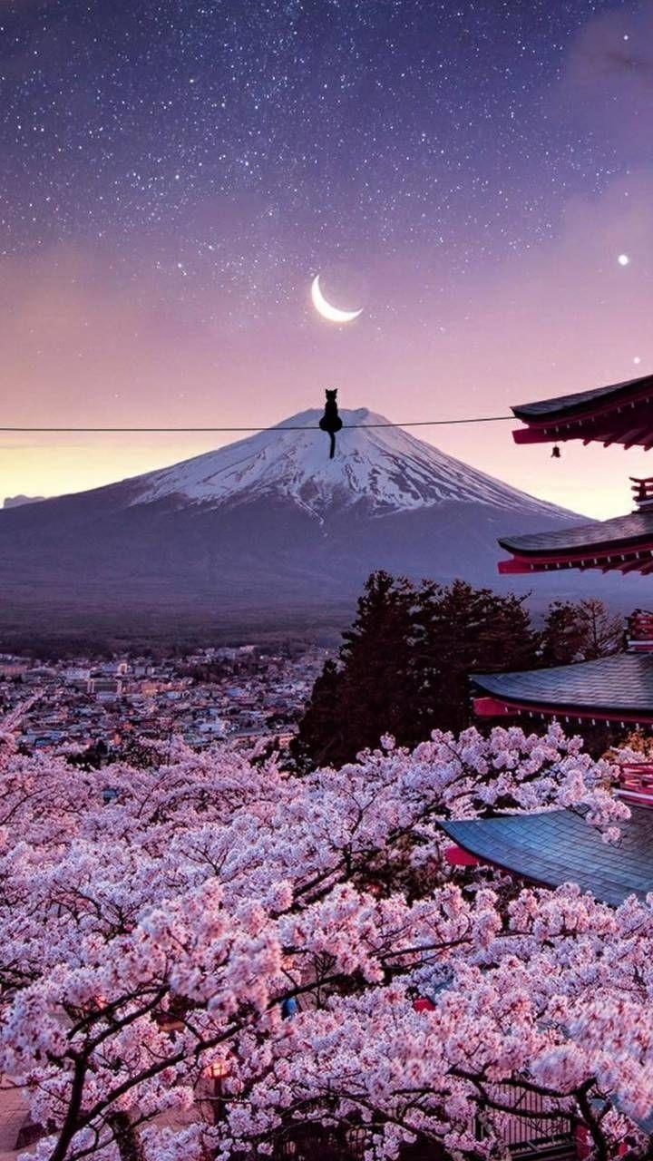 720x1280 Download Japan wallpaper by xHibiscusx now. Browse millions of popular j. iPhone wallpaper japan, Chat wallpaper whatsapp, Scenery wallpaper