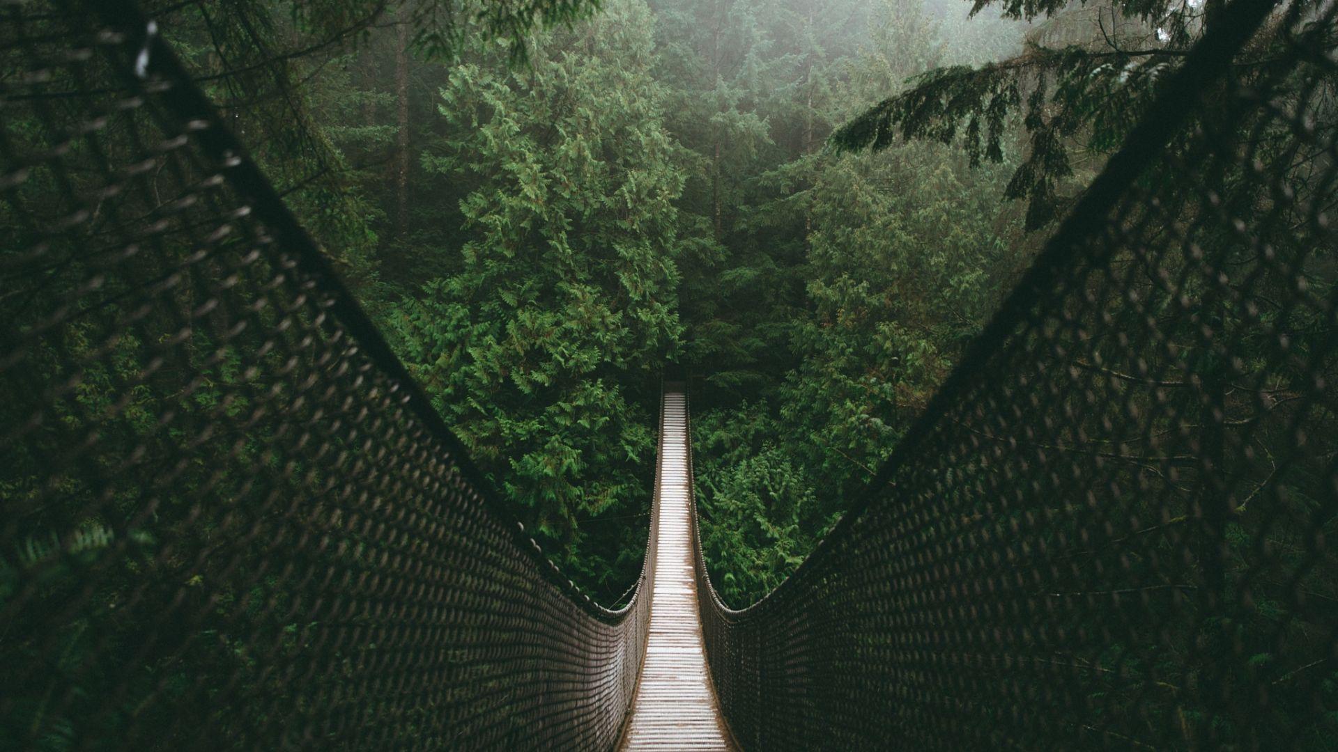 1920x1080 Desktop Wallpaper Bridge, Forest, Suspension Bridge, HD Image, Picture, Background, D659c2