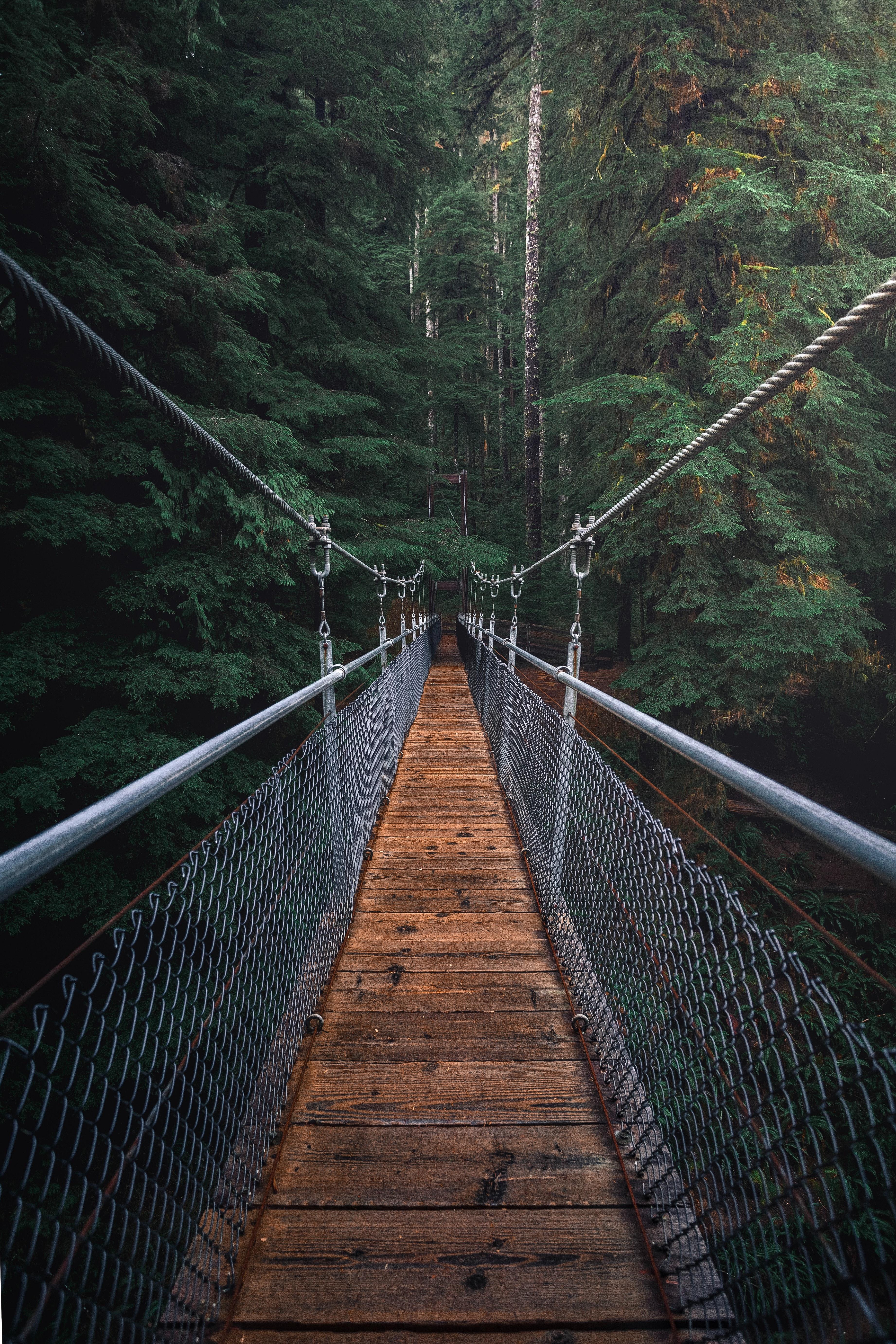 3685x5527 Best Free Bridge & Image · 100% Royalty Free HD Downloads