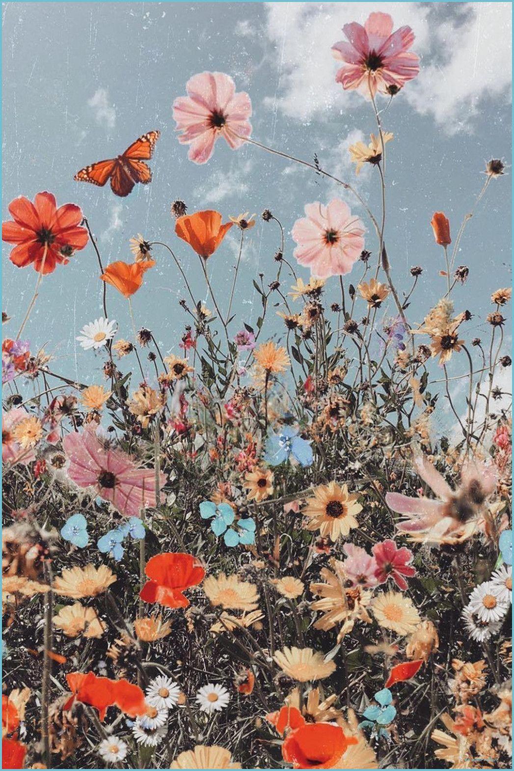 1047x1571 Boho Aesthetic Wallpaper