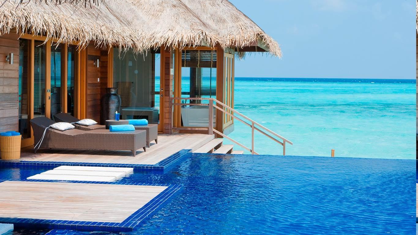 1366x768 Free download Maldives Resort Swimming Pool Beach Tropical Sea Luxury [1366x768] for your Desktop, Mobile & Tablet. Explore Beach Bungalow Wallpaper. Bungalow Wallpaper, Thibaut Bungalow Wallpaper, Bungalow Style Wallpaper