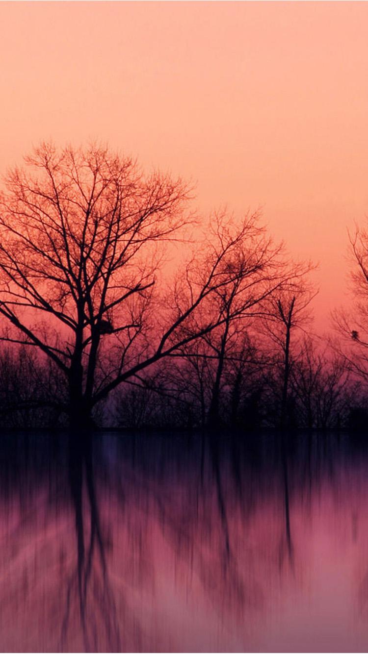 750x1334 Free download Nature iPhone 6 Wallpaper Bare Trees View At Sunset photo of Best [750x1334] for your Desktop, Mobile & Tablet. Explore Best Nature iPhone Wallpaper. Nature Wallpaper for