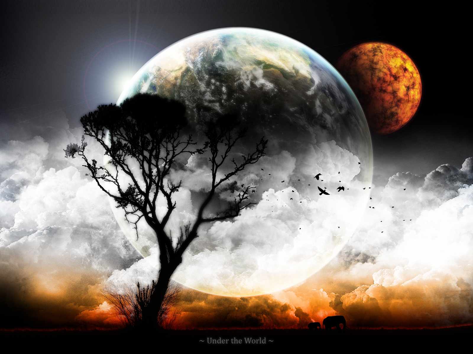 1600x1200 Cool Wallpaper For Desktop