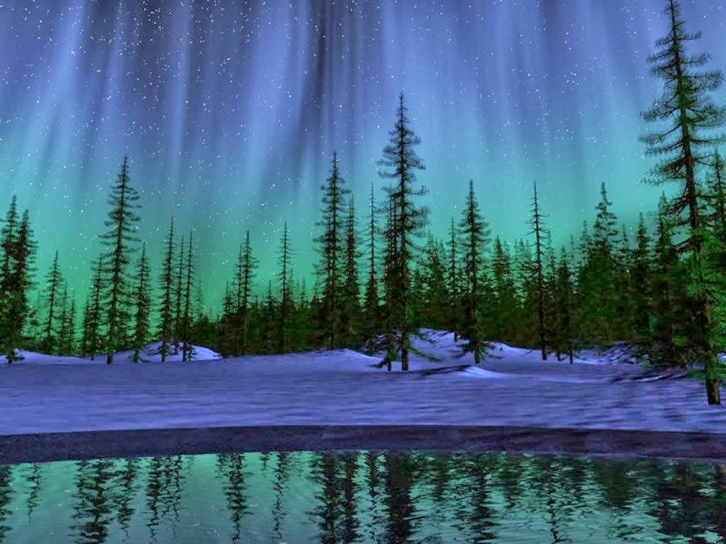 1024x768 northern lights live wallpaper, aurora, natural landscape, nature, tree, sky