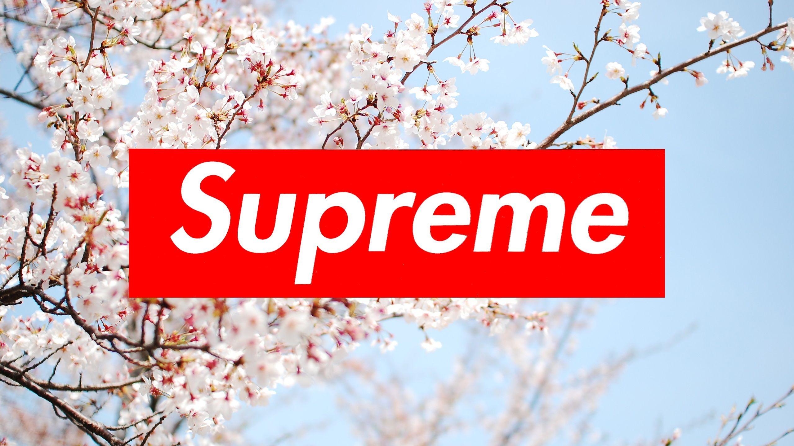 2560x1440 Free download Supreme Laptop Wallpaper Top Supreme Laptop Background [2560x1440] for your Desktop, Mobile & Tablet. Explore Supreme Computer Wallpaper. Supreme Computer Wallpaper, Supreme Wallpaper, Supreme Wallpaper