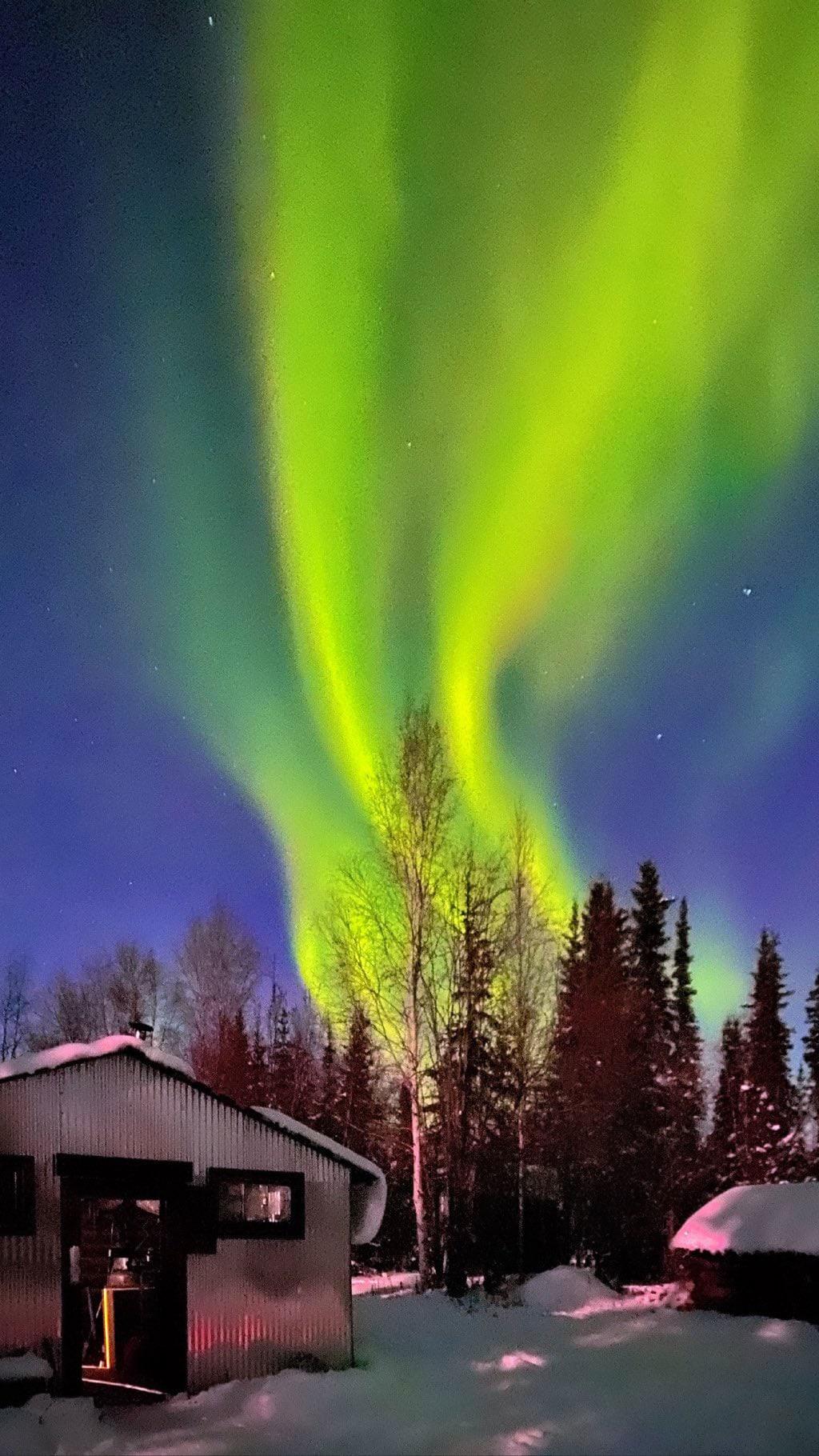 1024x1820 iPhone 11 Pro pix of Northern Lights will blow you away. Cult of Mac