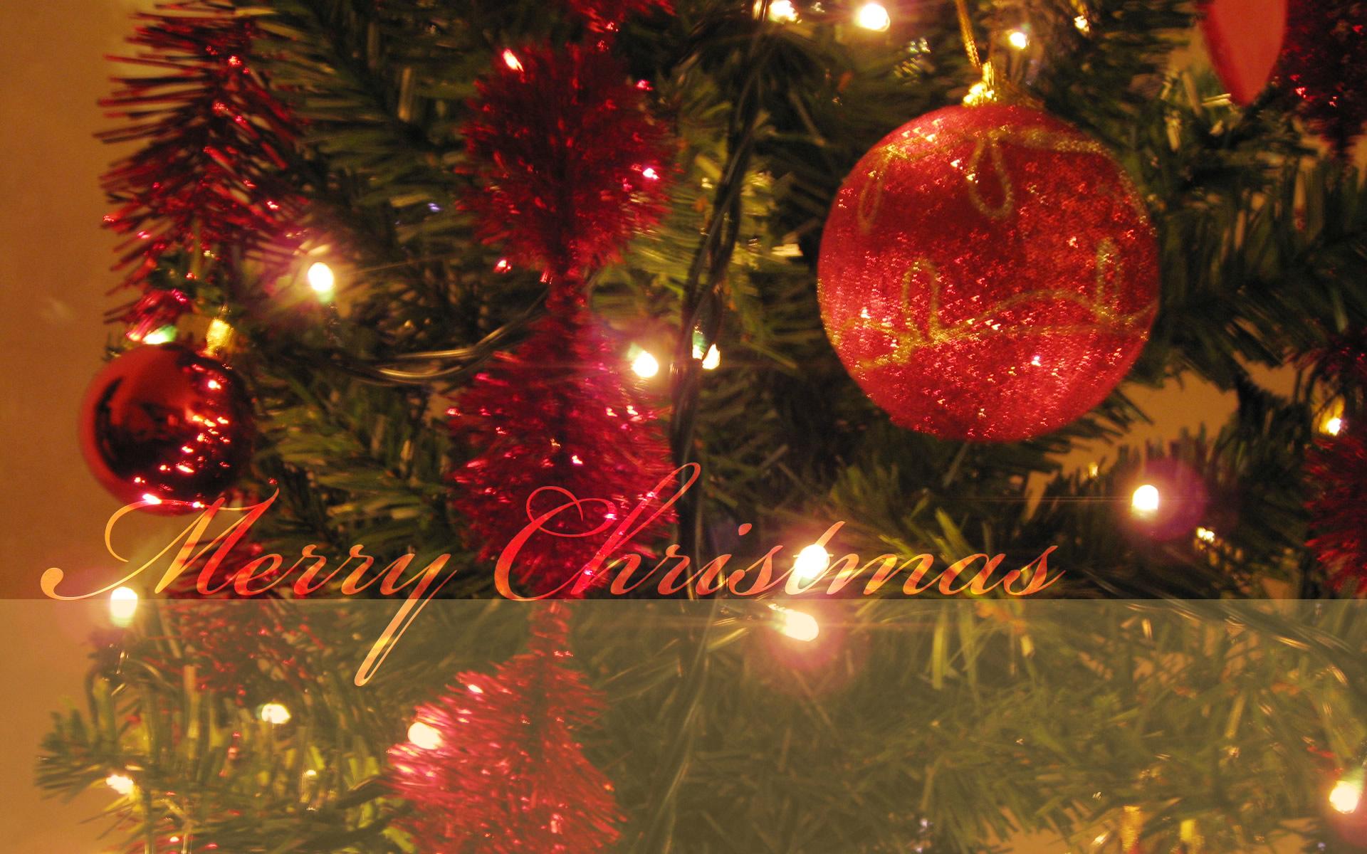 1920x1200 Merry Christmas Tree HD wallpaper. HD Latest Wallpaper