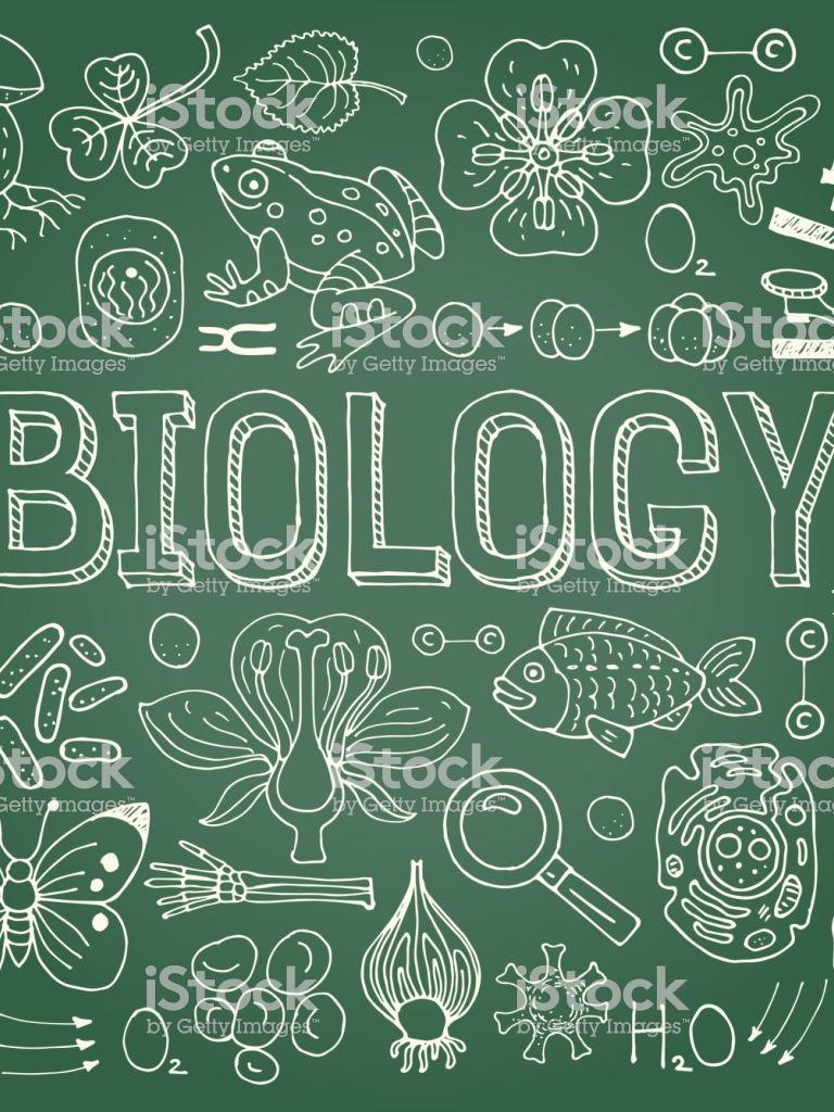 Aesthetic Biology Wallpapers - Top Free Aesthetic Biology Backgrounds