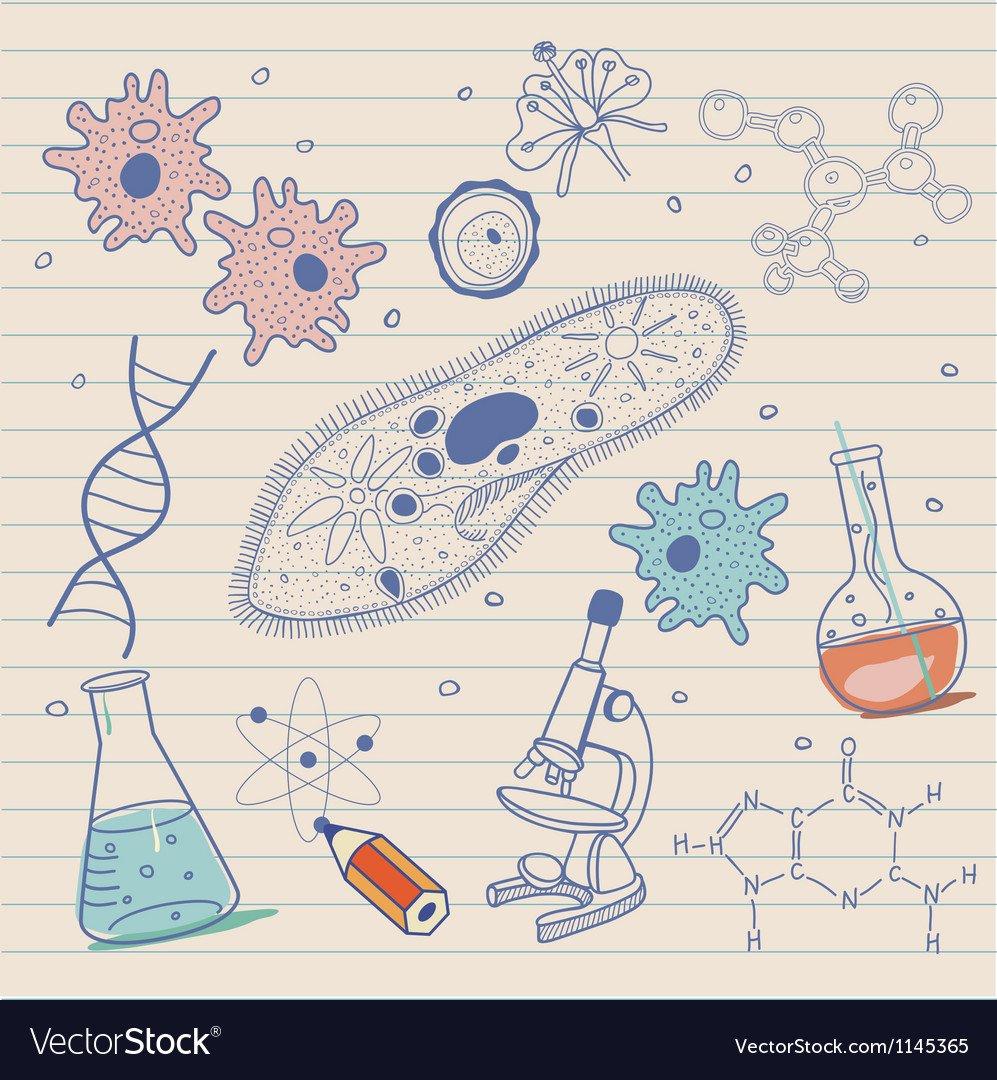 Aesthetic Biology Wallpapers - Top Free Aesthetic Biology Backgrounds