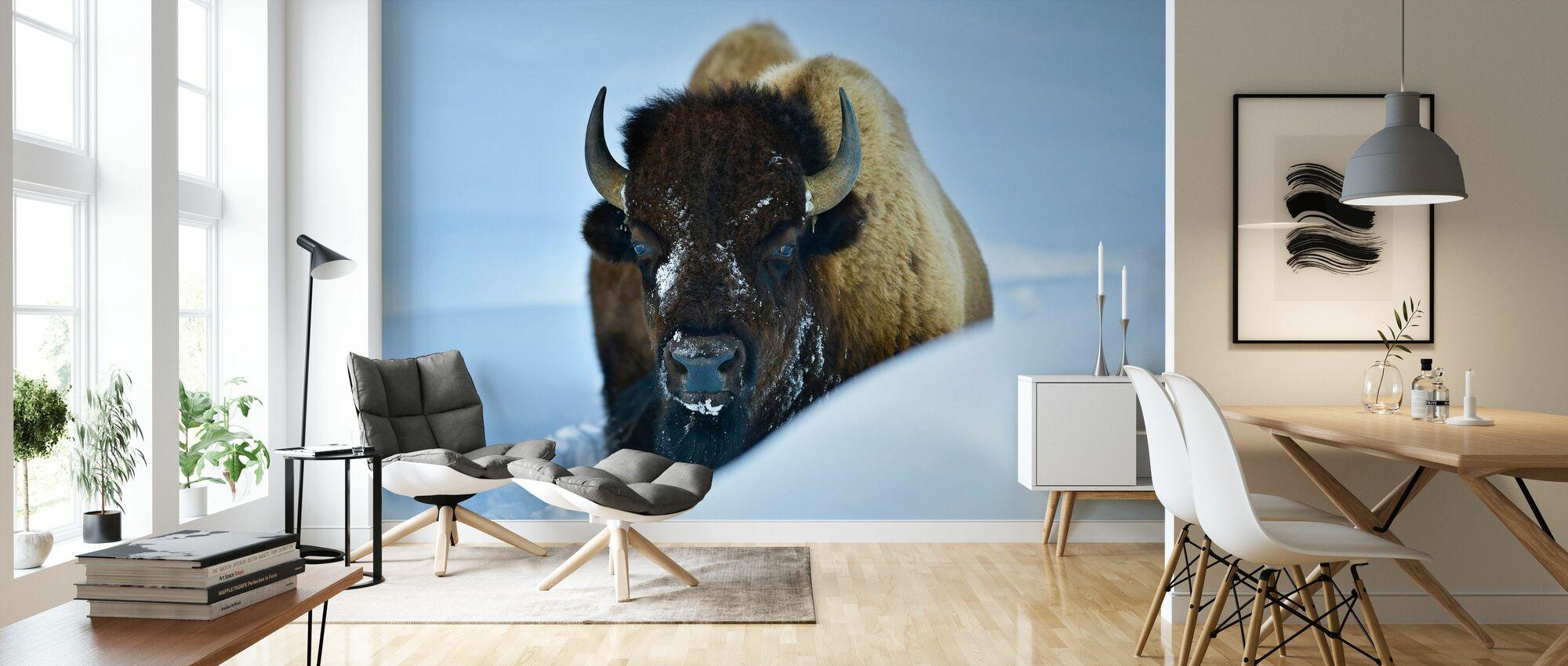 2000x850 Winter Bison