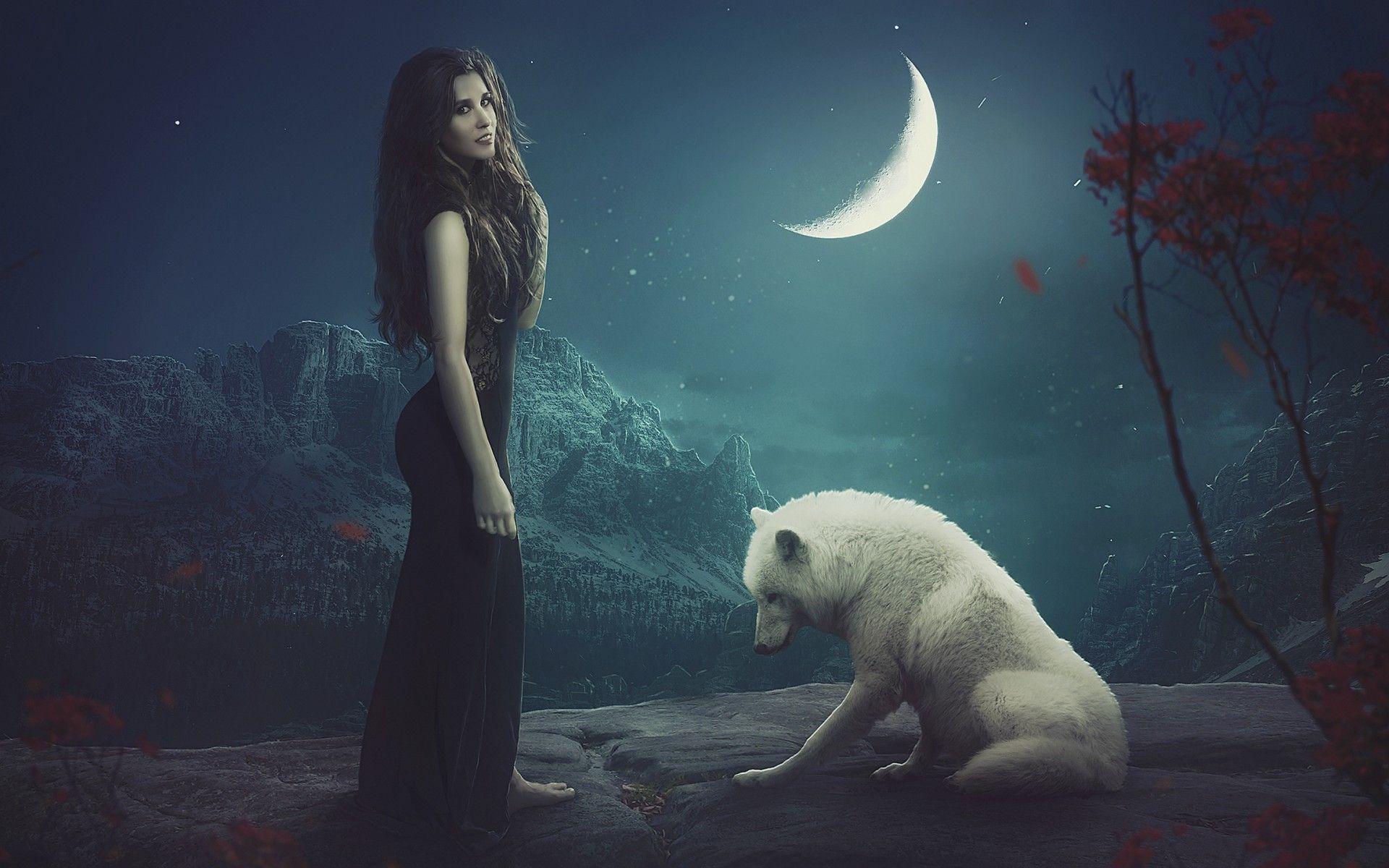 1920x1200 Moon Wolf Wallpaper